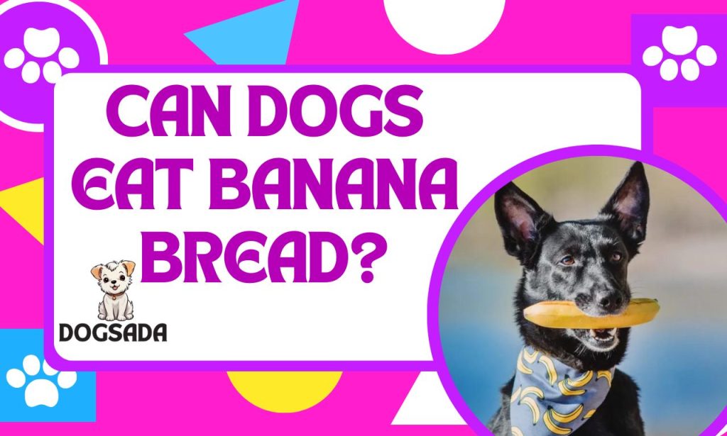 CAN DOGS EAT BANANA BREAD