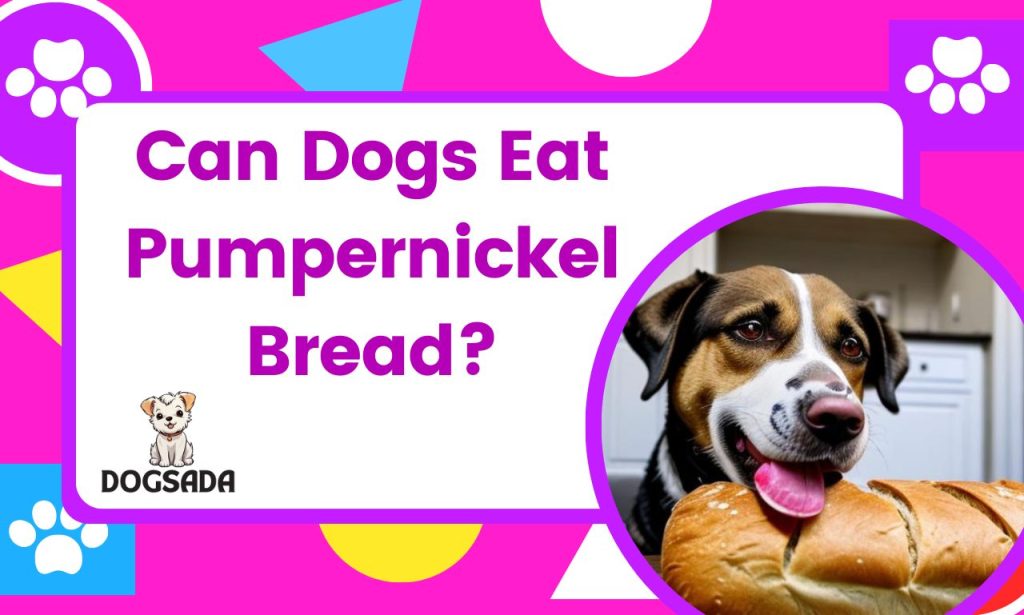 Can Dogs Eat Pumpernickel Bread?