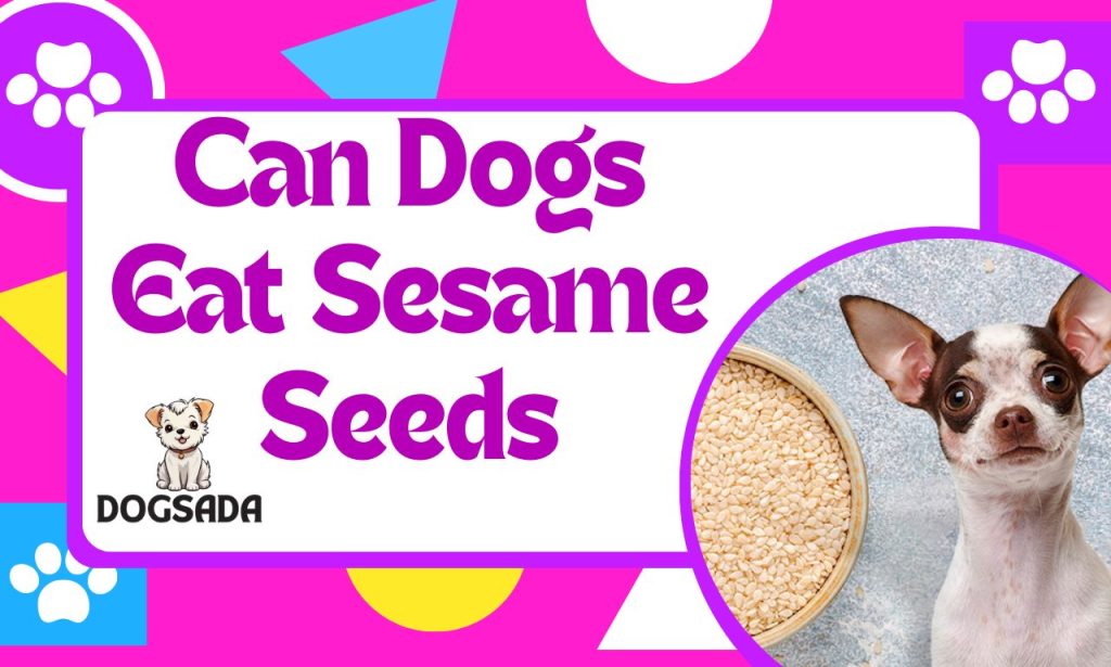 Can Dogs Eat Sesame Seeds