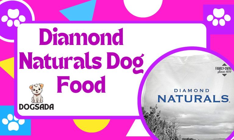 Diamond Naturals Dog Food Review: Expert Best Guide 2024