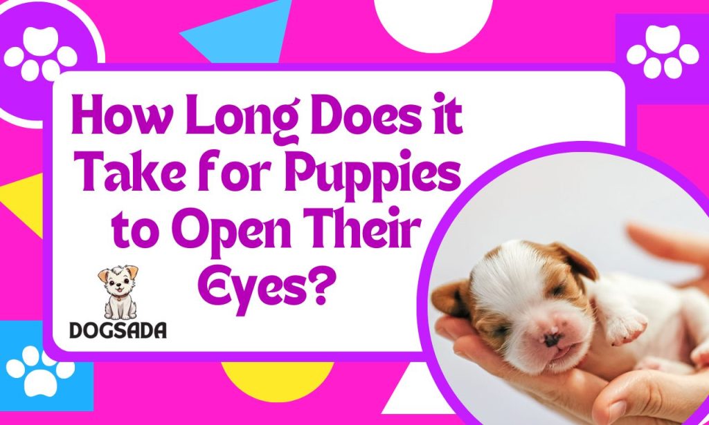 How Long Does it Take for Puppies to Open Their Eyes