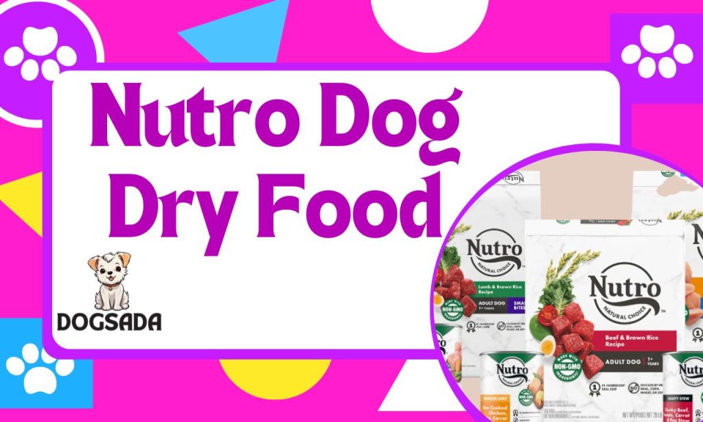 Nutro Dog Food