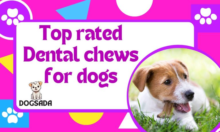 Top Rated Dental Chews For Dogs Expert Guide 2024