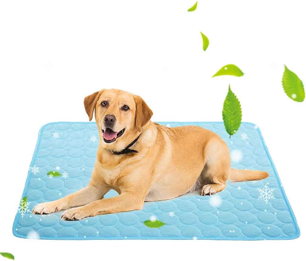 Best Dog Cooling Mats