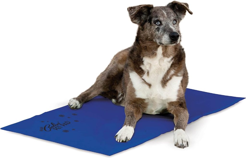 Best Dog Cooling Mats