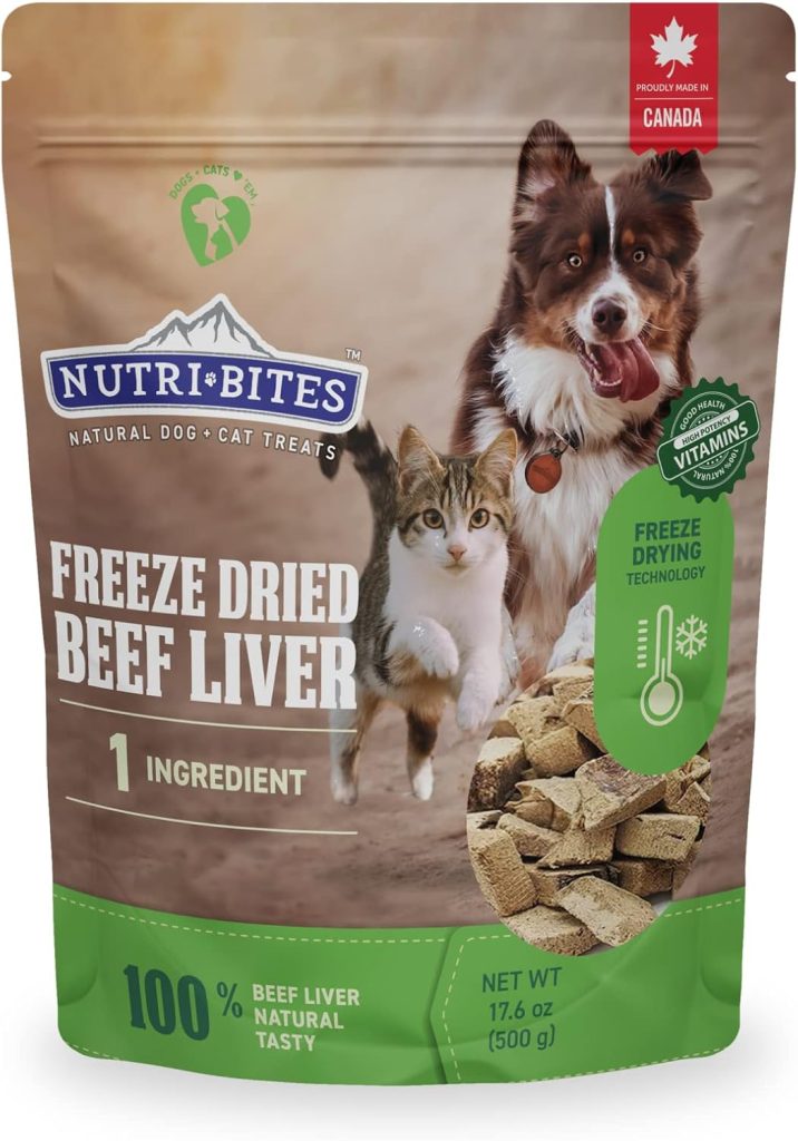 Best Freeze Dried Dog Food 2024