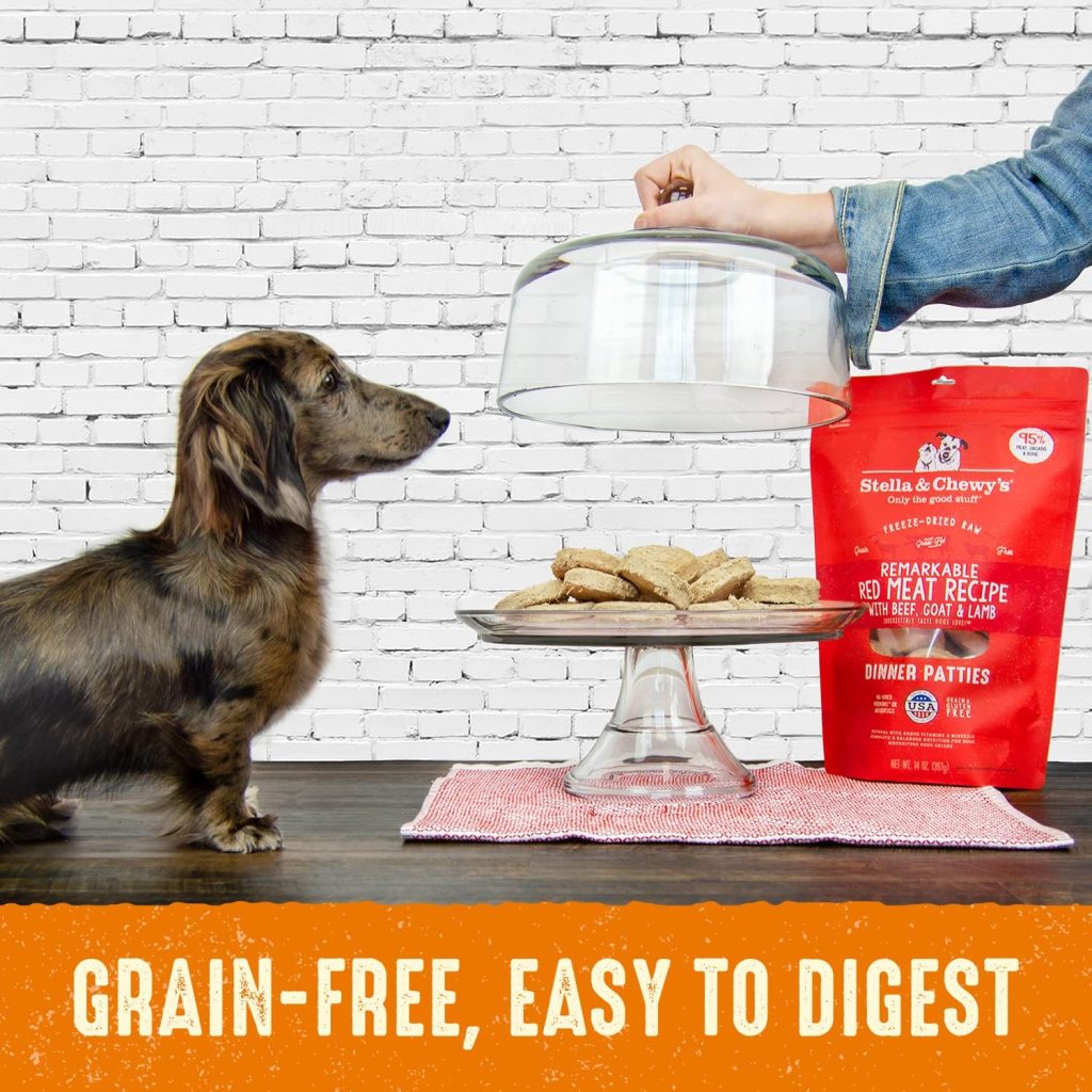 Best Freeze Dried Dog Food 2024