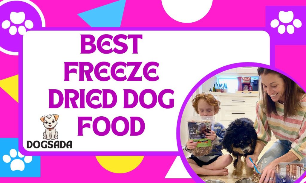 Best Freeze Dried Dog Food 2024