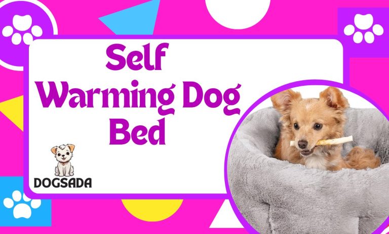 Best 10 Self Warming Dog Bed