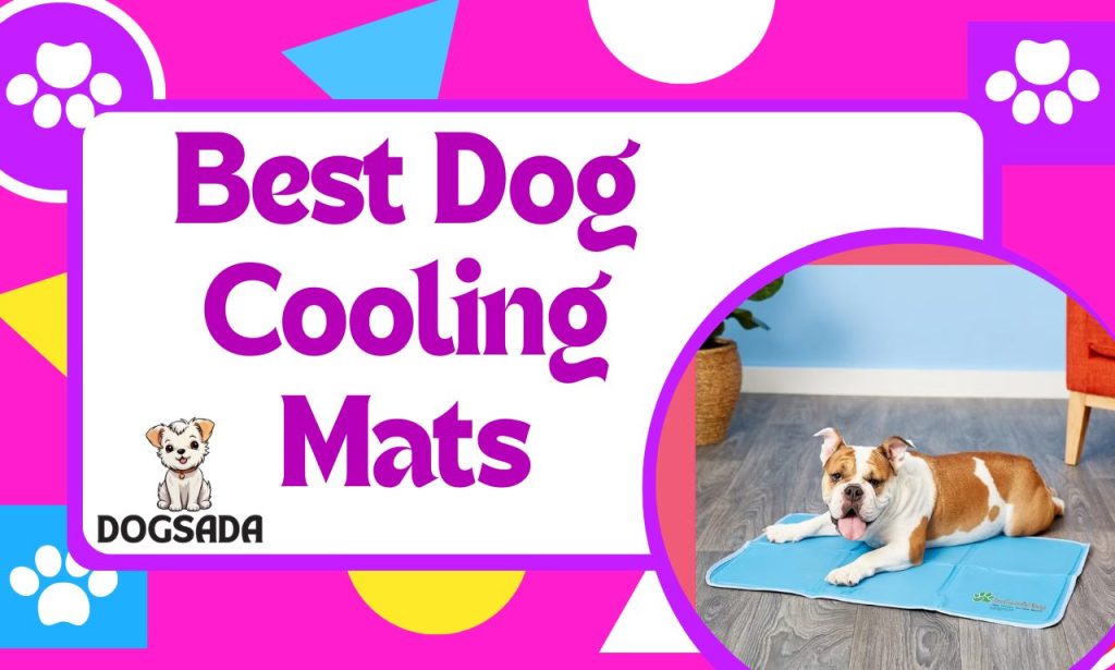 Best Dog Cooling Mats