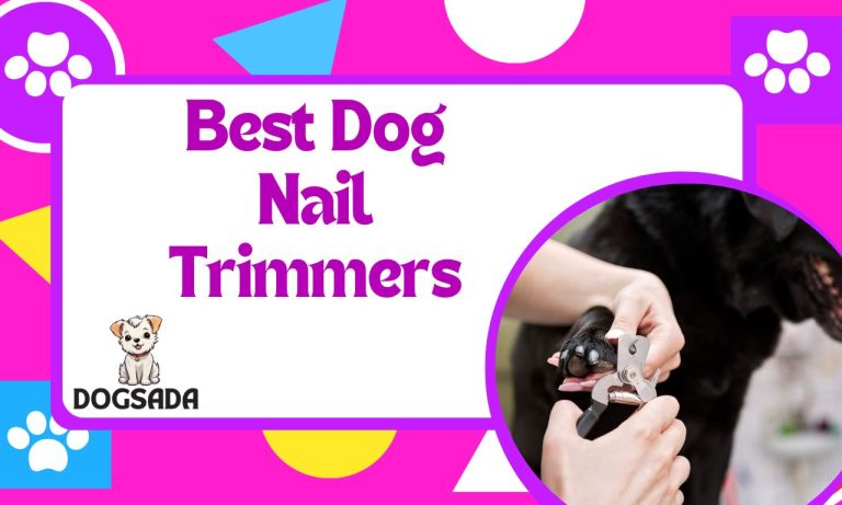 Best Dog Nail Trimmers: Expert Picks for Easy Grooming 2024