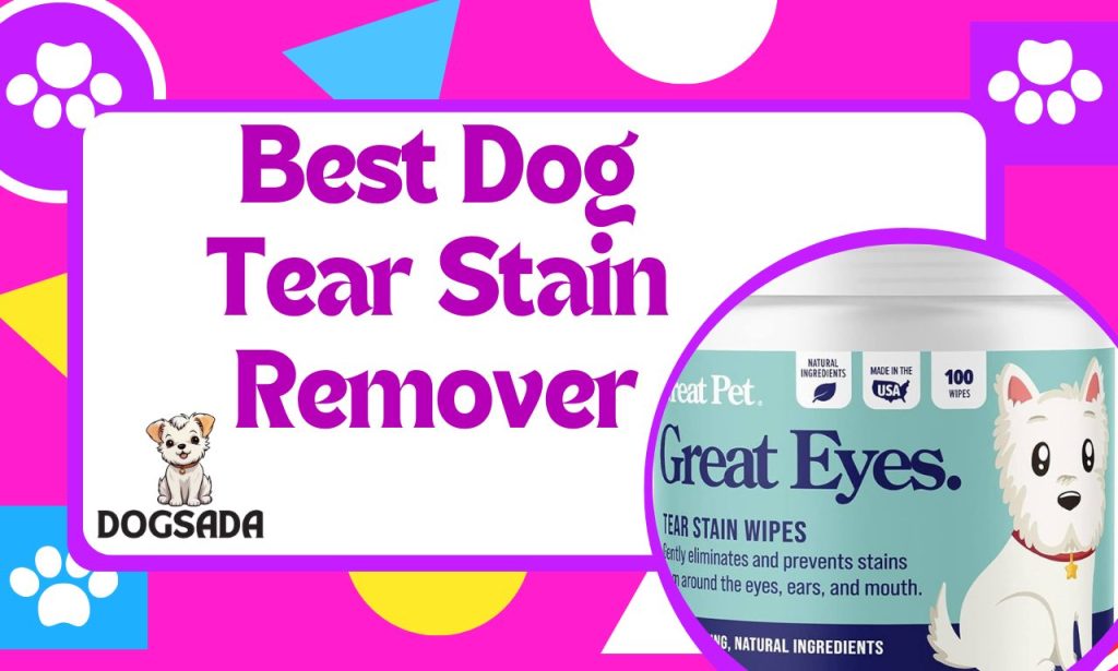 Best Dog Tear Stain Remover 