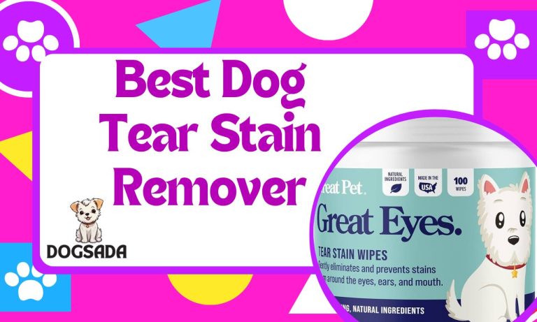 Best Dog Tear Stain Remover Expert Guide 2024