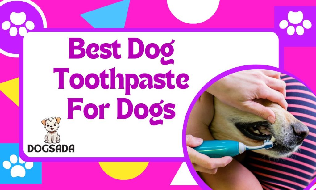 Best Dog Toothpaste For Dogs