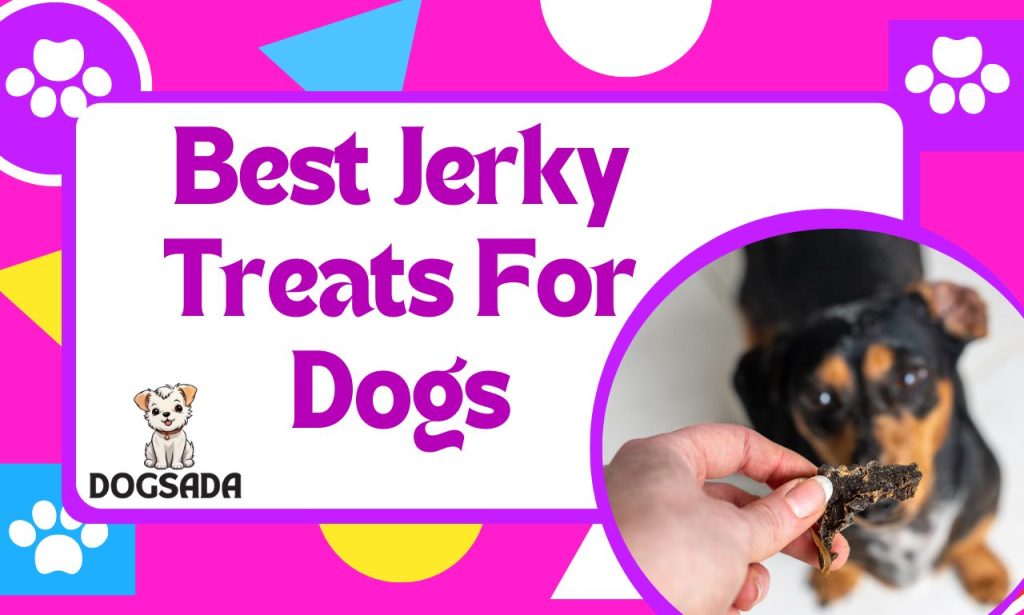 Best Jerky Treats For Dogs