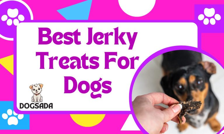 Best Jerky Treats For Dogs 2024