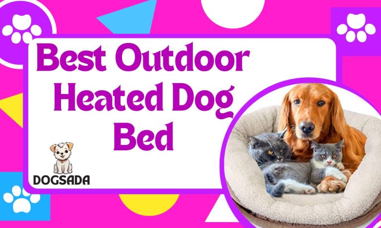 Best Outdoor Heated Dog Bed 2024