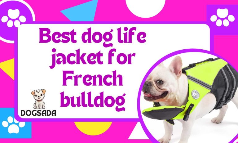 Best Dog Life Jacket For French Bulldog 2024