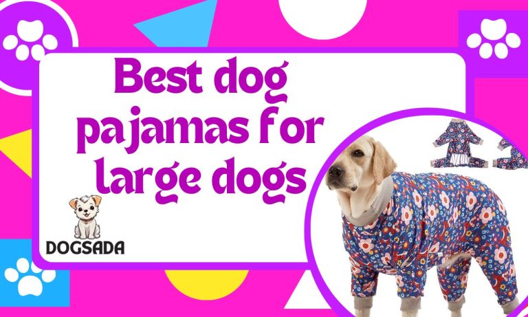 Best Dog Pajamas For Large Dogs 2024