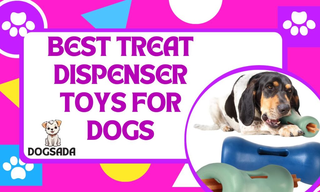 Best treat dispenser toys for dogs