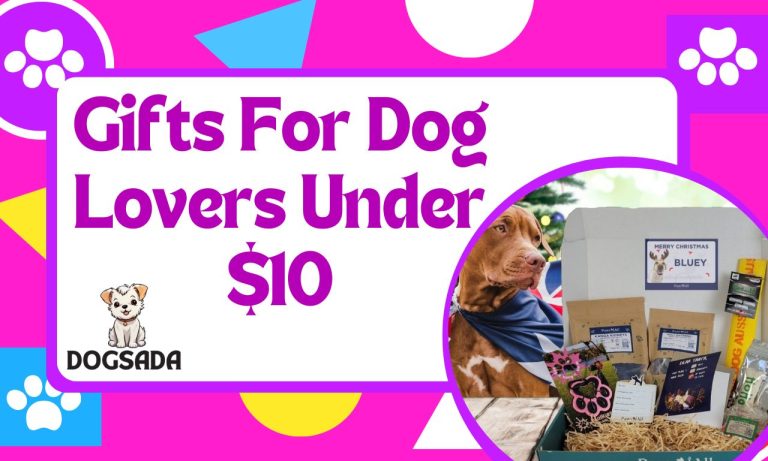 Gifts For Dog Lovers Under $10 Amazing