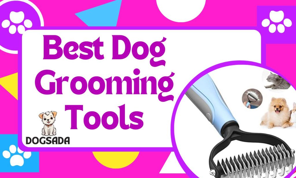 Best Dog Grooming Tools For Long-Haired Dogs