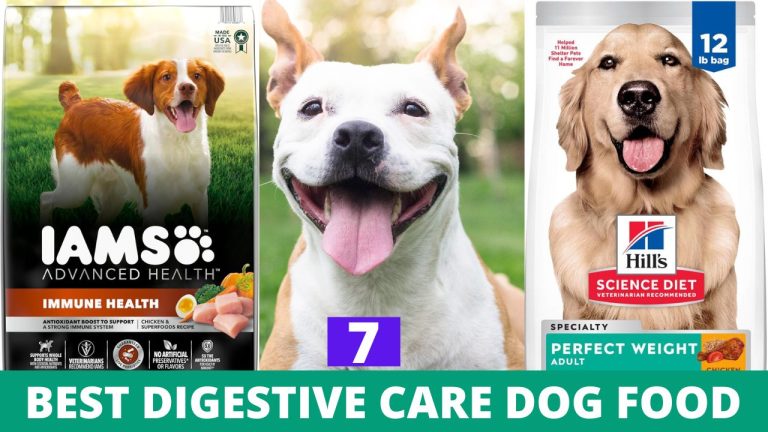 7 Best digestive care dog food